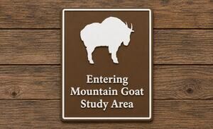 Glacier National Park Entering Mountain Goat Study Area Road Sign Montana Hike